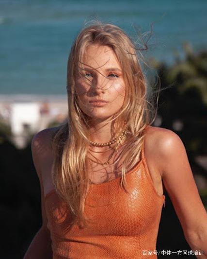 策略取得令 策略取得令